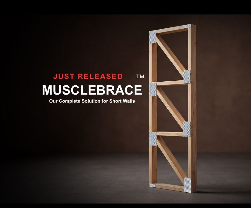 Copy Of Musclebrace (6)